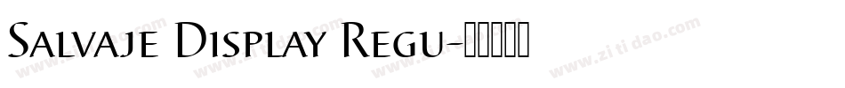 Salvaje Display Regu字体转换